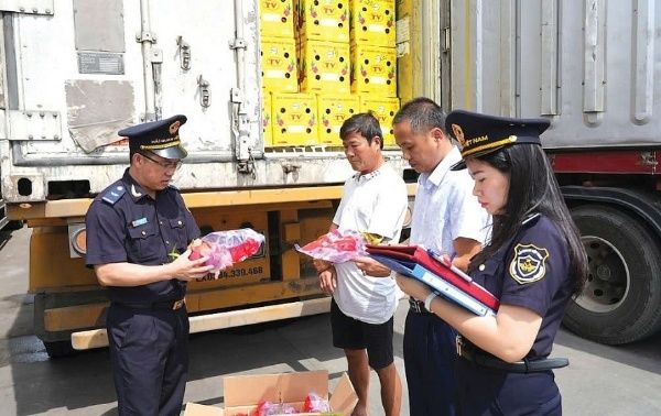 Outsourced Import-Export Services for Manufacturing Companies
