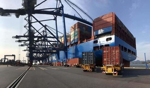 Why Do Shipments Miss Their Vessel Schedule? Causes and Solutions