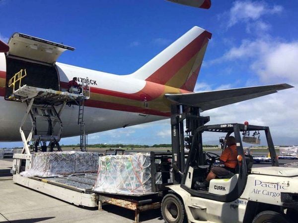 US-Vietnam Air Freight: Great Rates, Reliable Schedules
