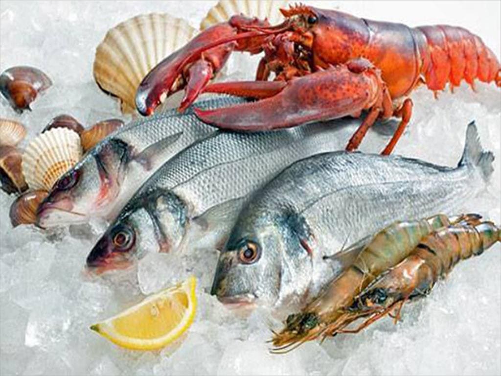 Kiểm dịch và thông quan thực phẩm đông lạnh tại cảng Cát Lái: Nhập thịt, thủy sản đúng quy định