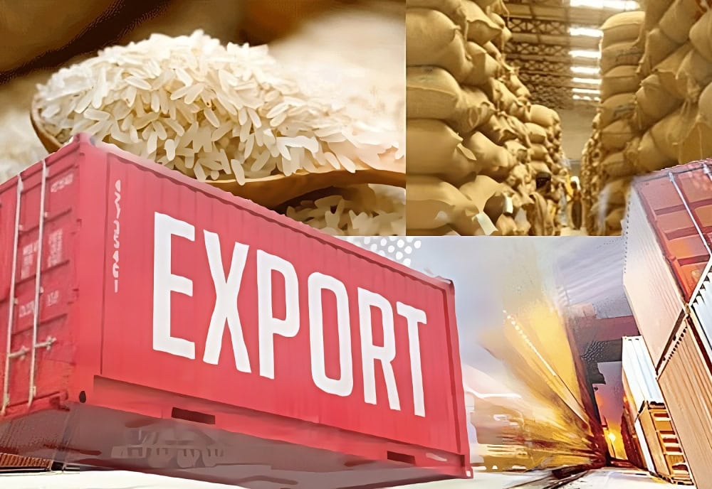Công Ty Làm Thủ Tục Xuất Khẩu Gạo Trọn Gói, Giá Tốt Nhất
