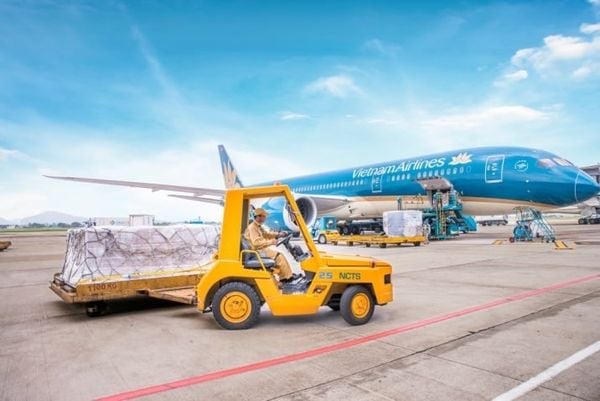 How Long Does Customs Clearance Take at Long Thanh Airport?