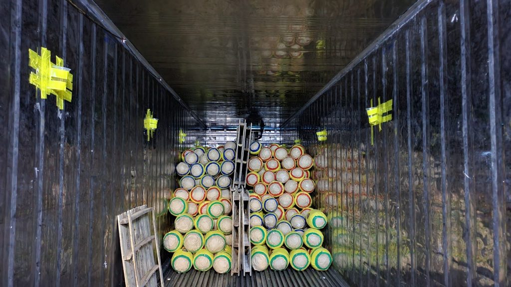 preserving jackfruit for official export to China