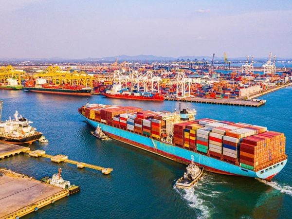 10 Customs Clearance Mistakes to Avoid at Cat Lai Port
