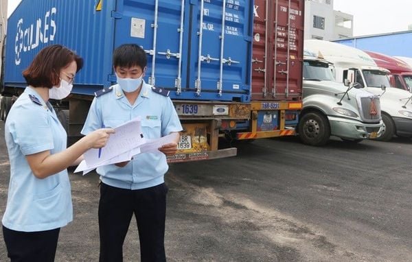 On-the-Spot Import-Export Service at Da Nang Port