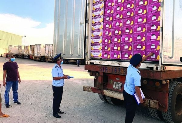 Professional Import-Export Department Outsourcing Service