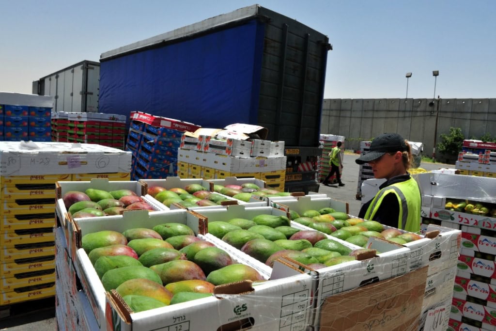 exporting fruit to Russia (1)