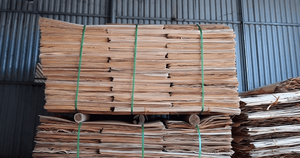 rotary-cut veneer (10)