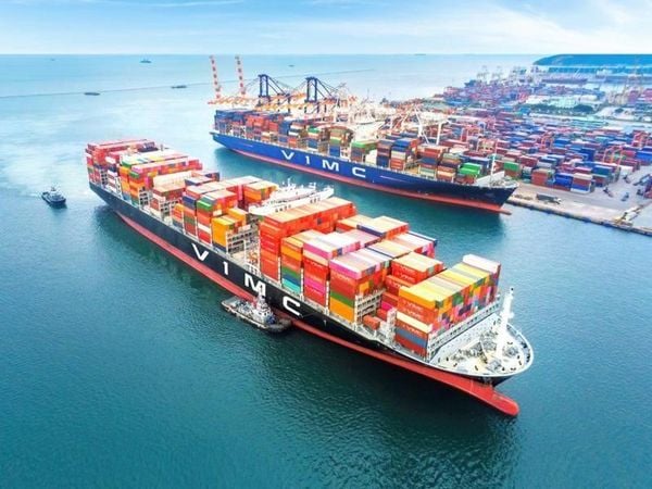 Does Physical Inspection at Cat Lai Port Take a Long Time?