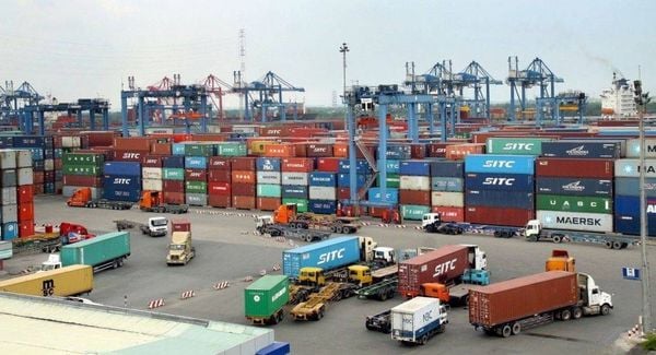 On-the-Spot Import-Export Service at Da Nang Port